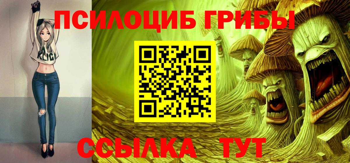 Псилоцибиновые грибы GOLDEN TEACHER Верхняя Пышма