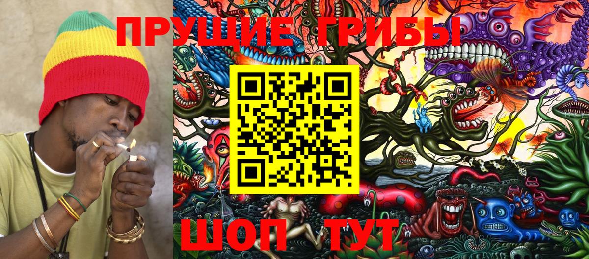 Псилоцибиновые грибы Psilocybine cubensis  Вход с VPN  Верхняя Пышма 